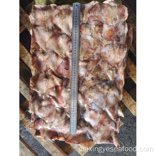 Squid congelado sobras de ala Dosidicus Gigas 300-500G